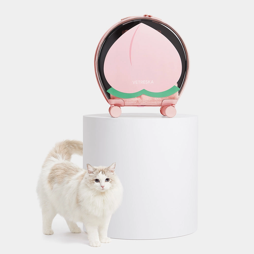 VETRESKA Bubble Carrier For Cats & Dogs (Pink, Opaque)