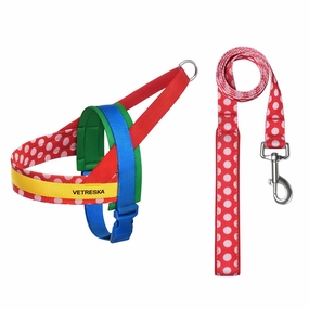 VETRESKA Chroma Dog Harness & Leash Set (Red) dog bones rawhide chew sticks dog jerky bacon bone