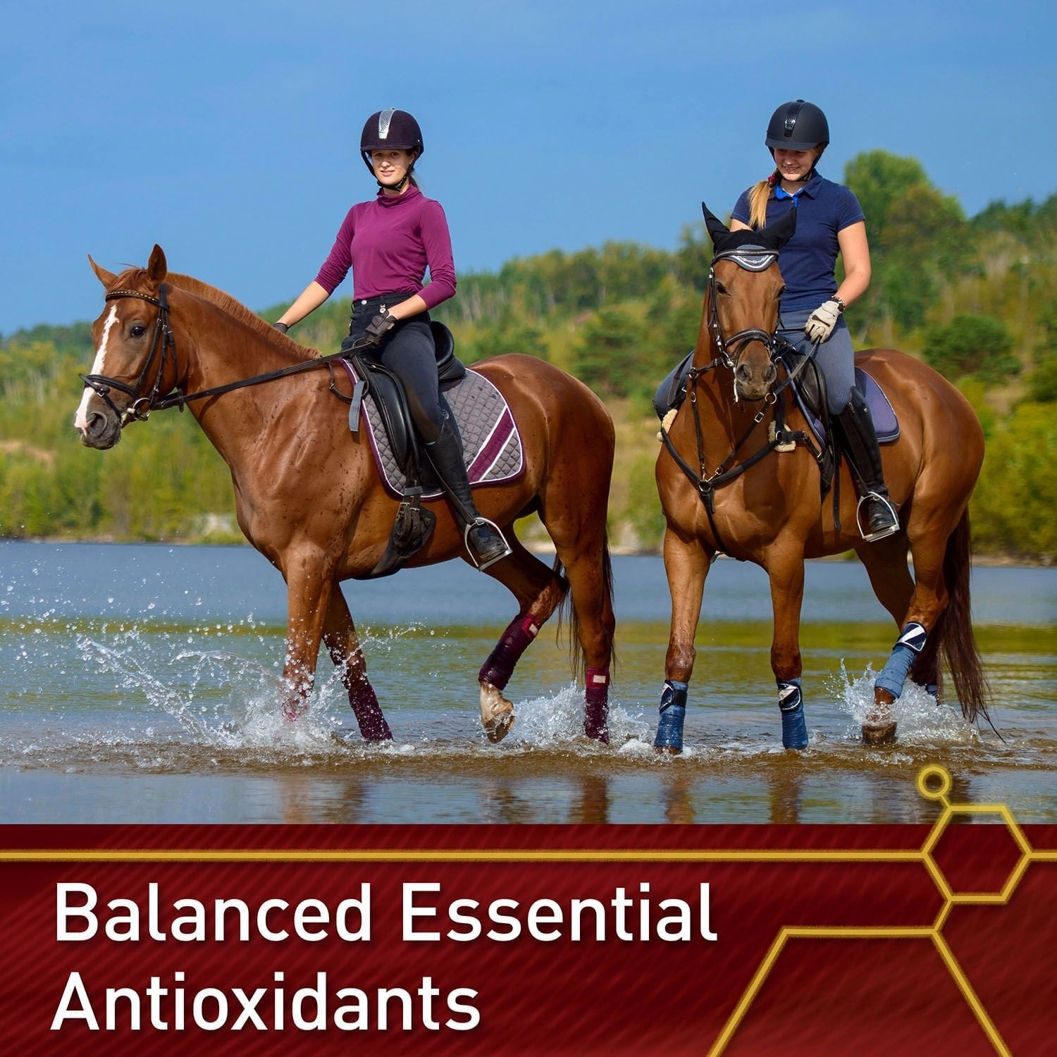 Vita Flex E and Selenium Supplement for Horses, Balanced Essential Antioxidants