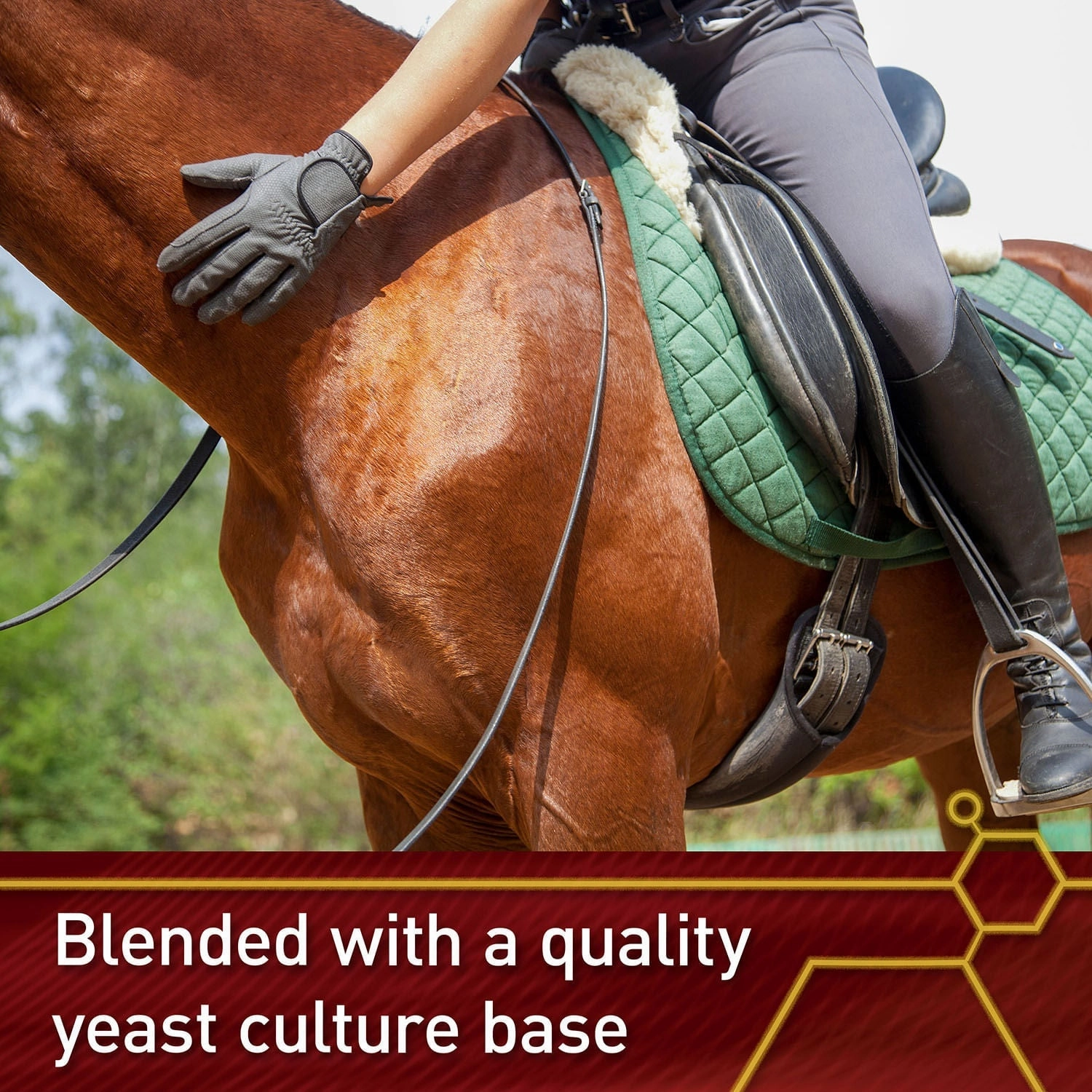 Vita Flex E and Selenium Supplement for Horses, Balanced Essential Antioxidants