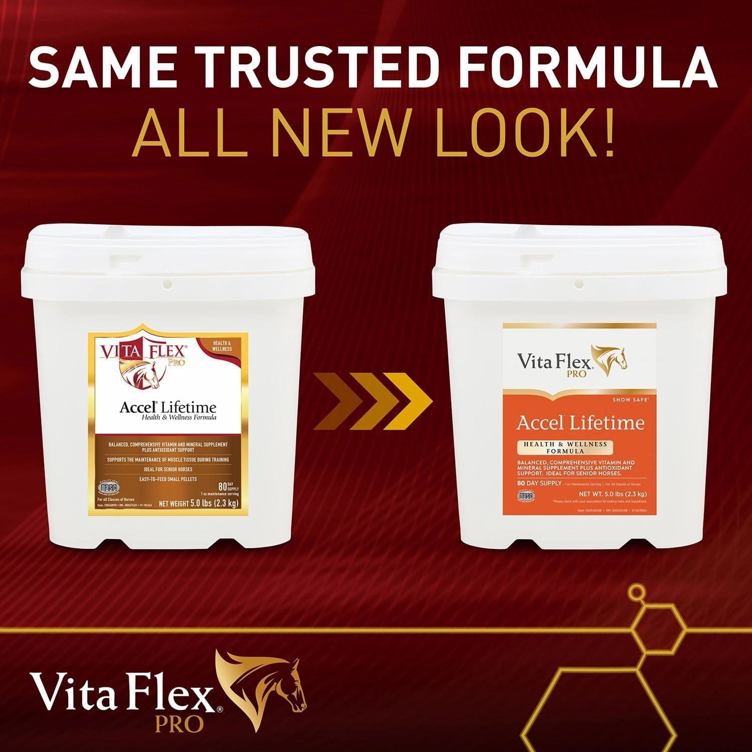 Vita Flex Pro Accel Lifetime Health & Wellness Formula Supplement for Horses