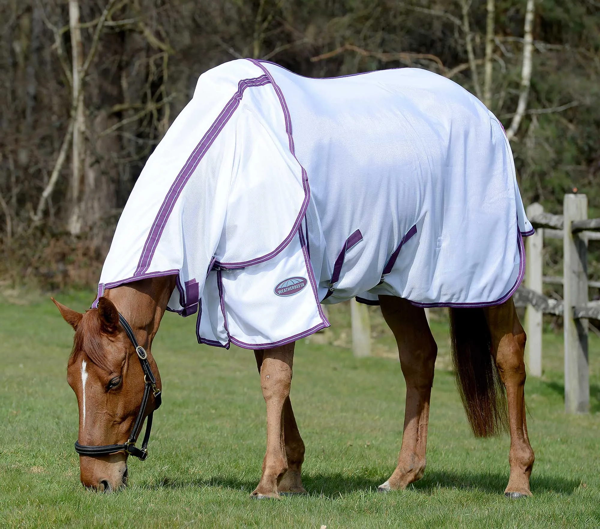 Weatherbeeta ComFITec Airflow II Detach-a-Neck Horse Fly Sheet