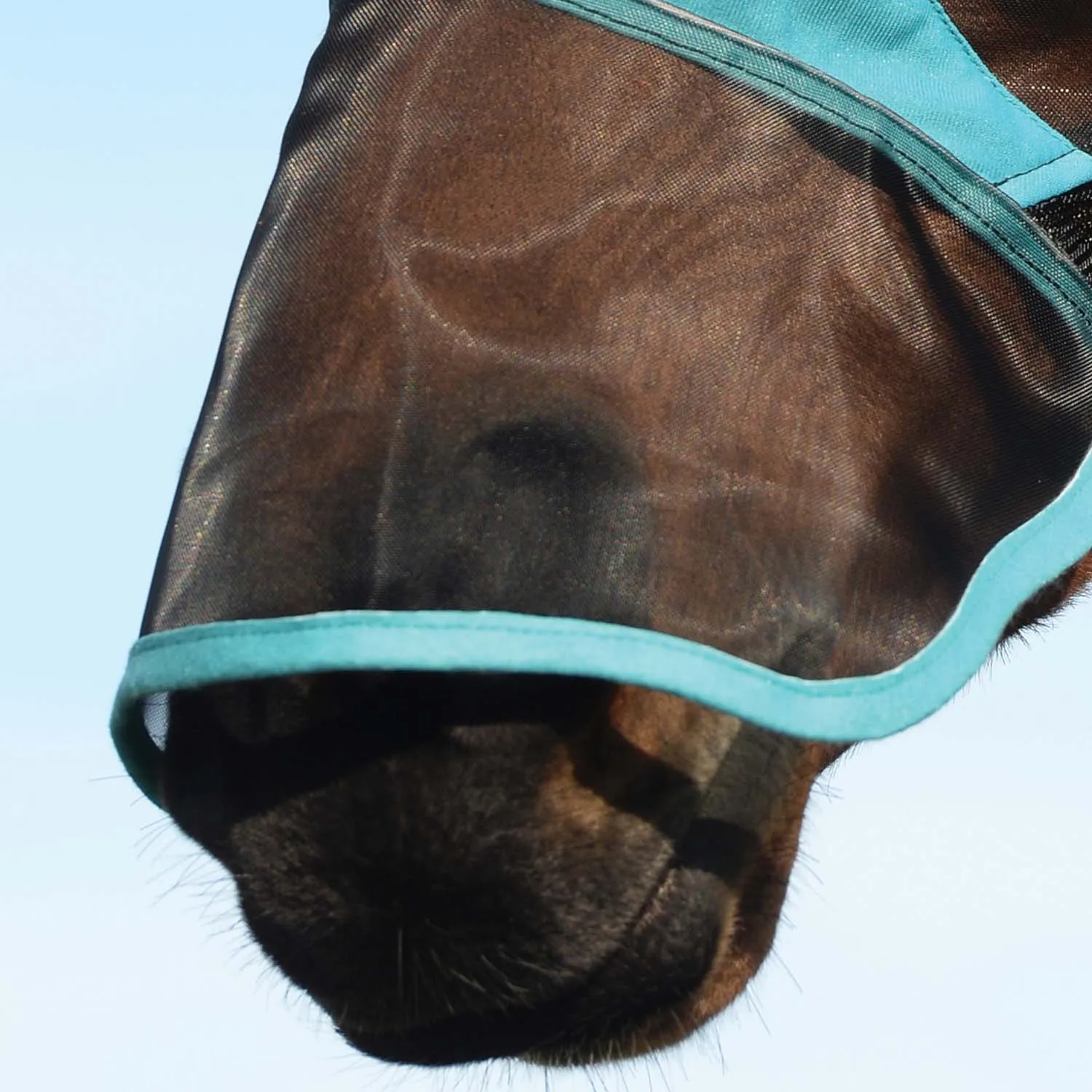 Weatherbeeta ComFITec Deluxe Fine Mesh Horse Fly Mask with Ears & Nose