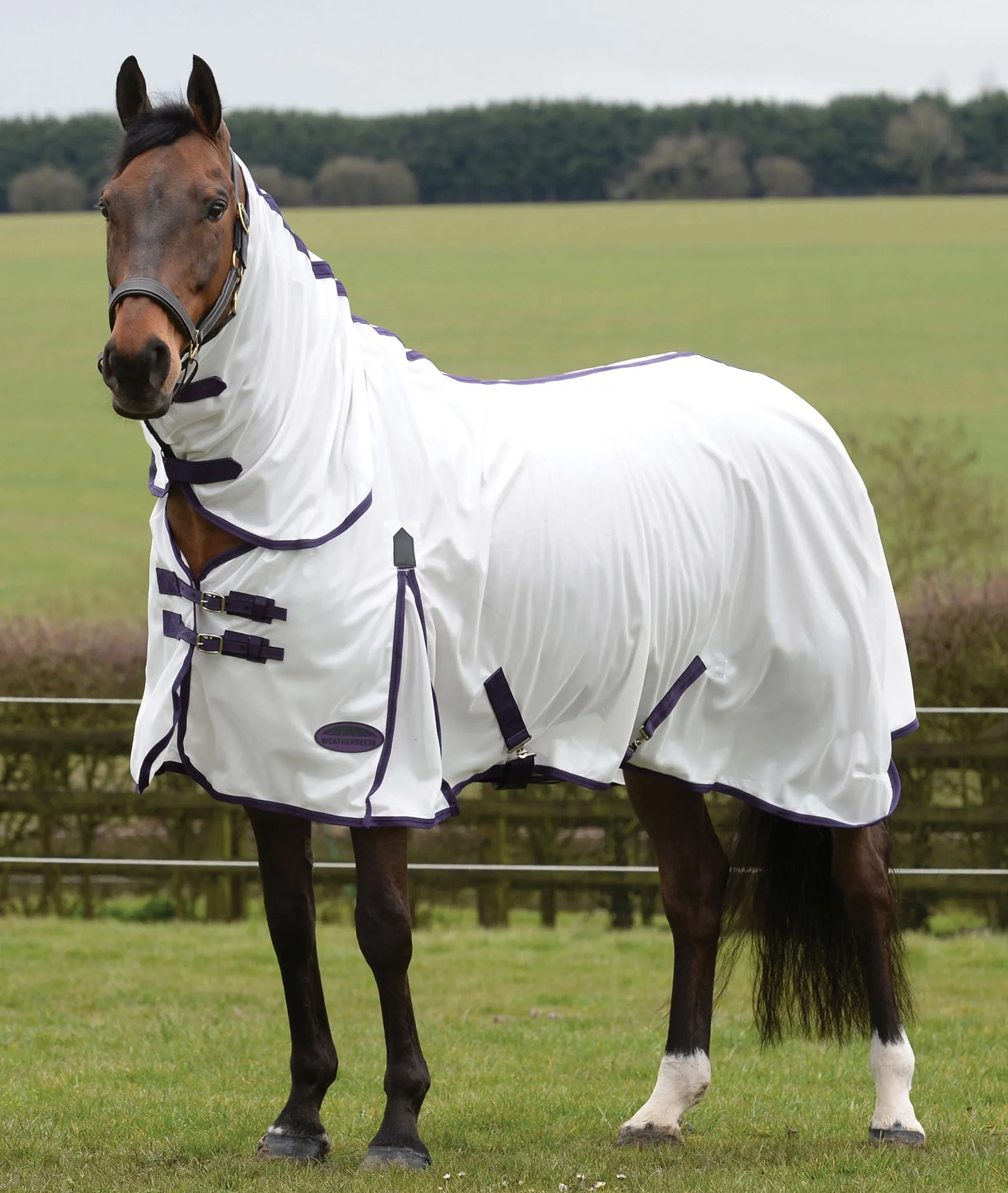 WeatherBeeta ComFITec Essential Mesh II Combo Neck Fly Sheet