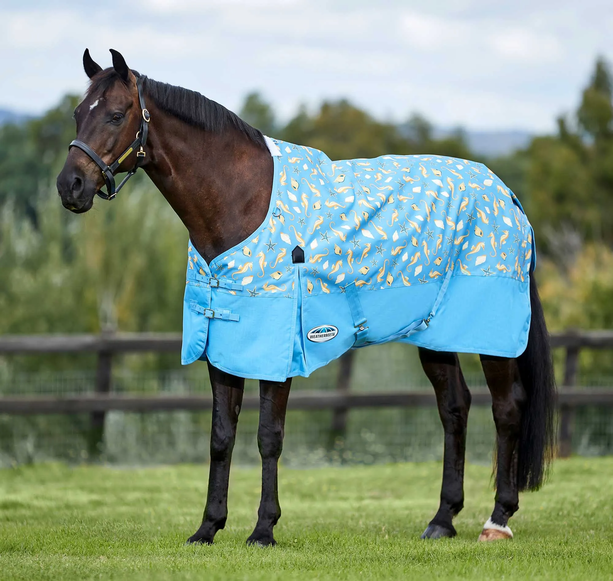 WeatherBeeta ComFITec Essential Standard Neck Lite Horse Fly Sheet, Seahorse