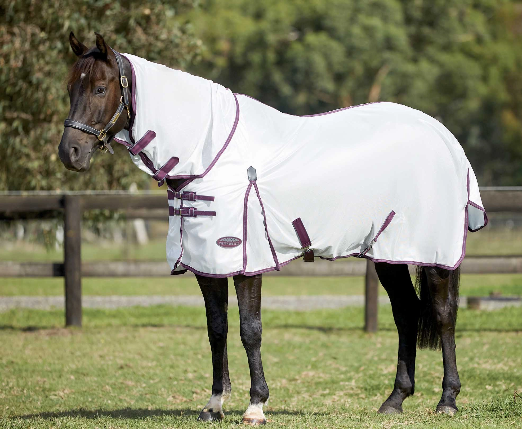 WeatherBeeta ComFITec Essential Mesh II Combo Neck Fly Sheet