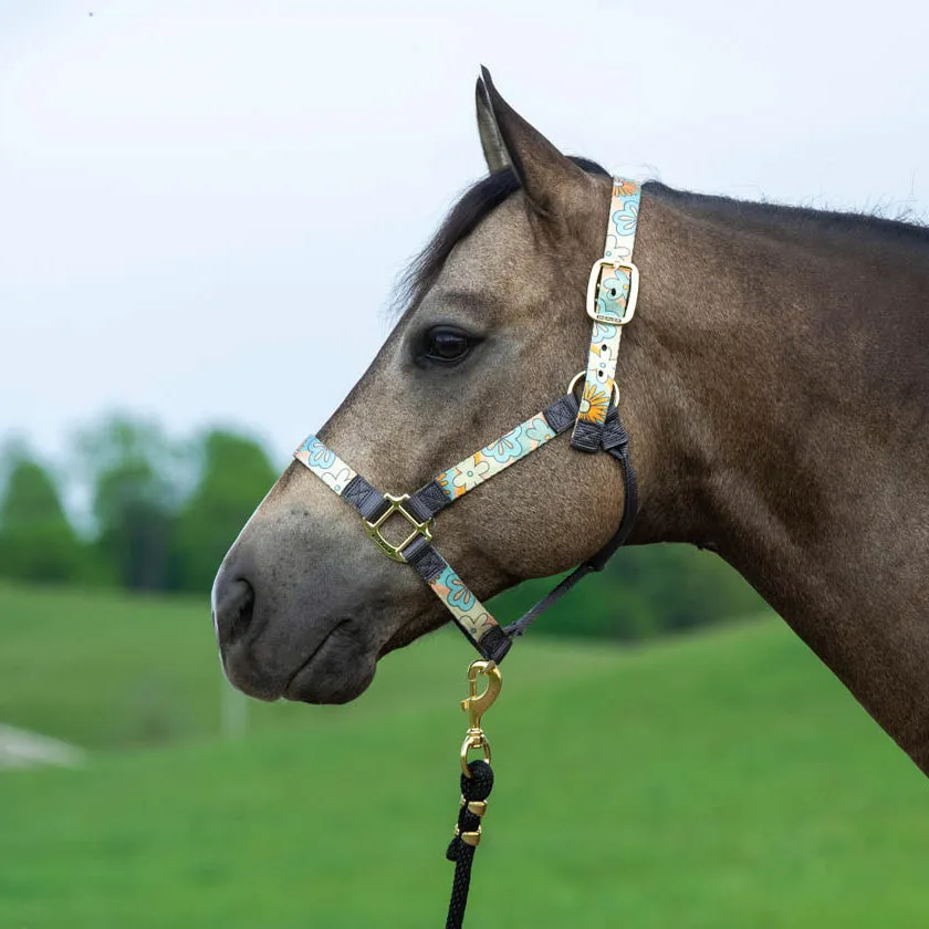 Weaver Nylon Overlay Halter