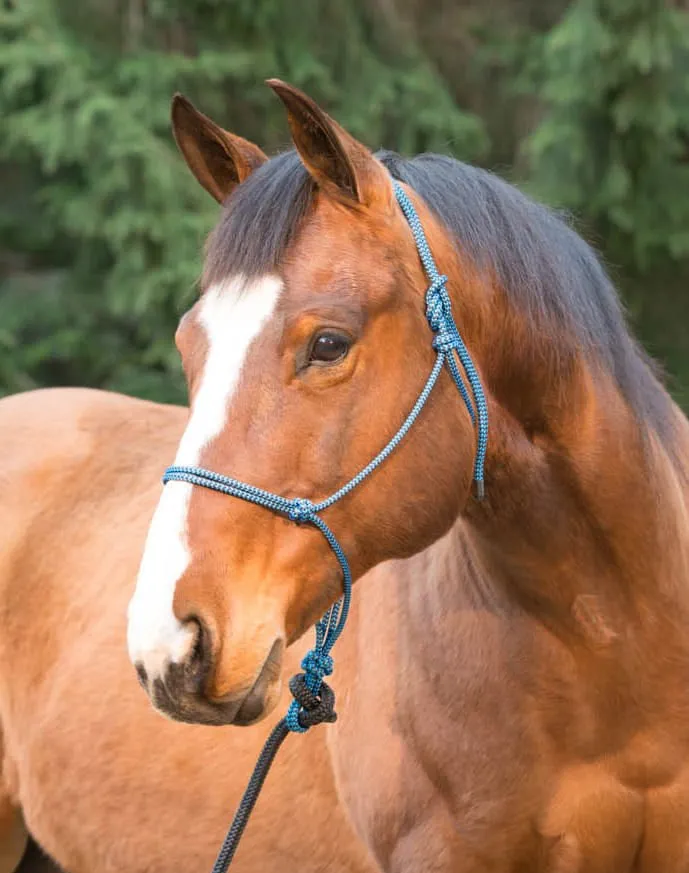Weaver Silvertip Big Sky Rope Halter, Full Size