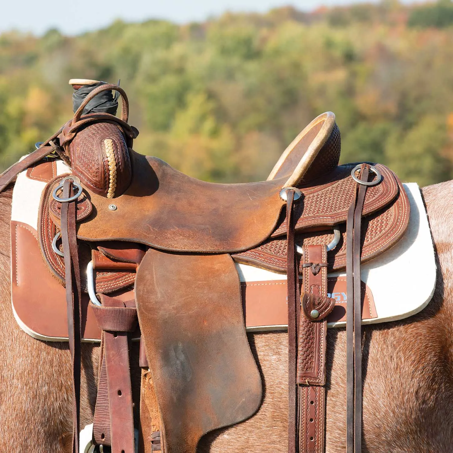Weaver Synergy Contoured Steam Pressed 100% Merino Wool Felt Performance Saddle Pad