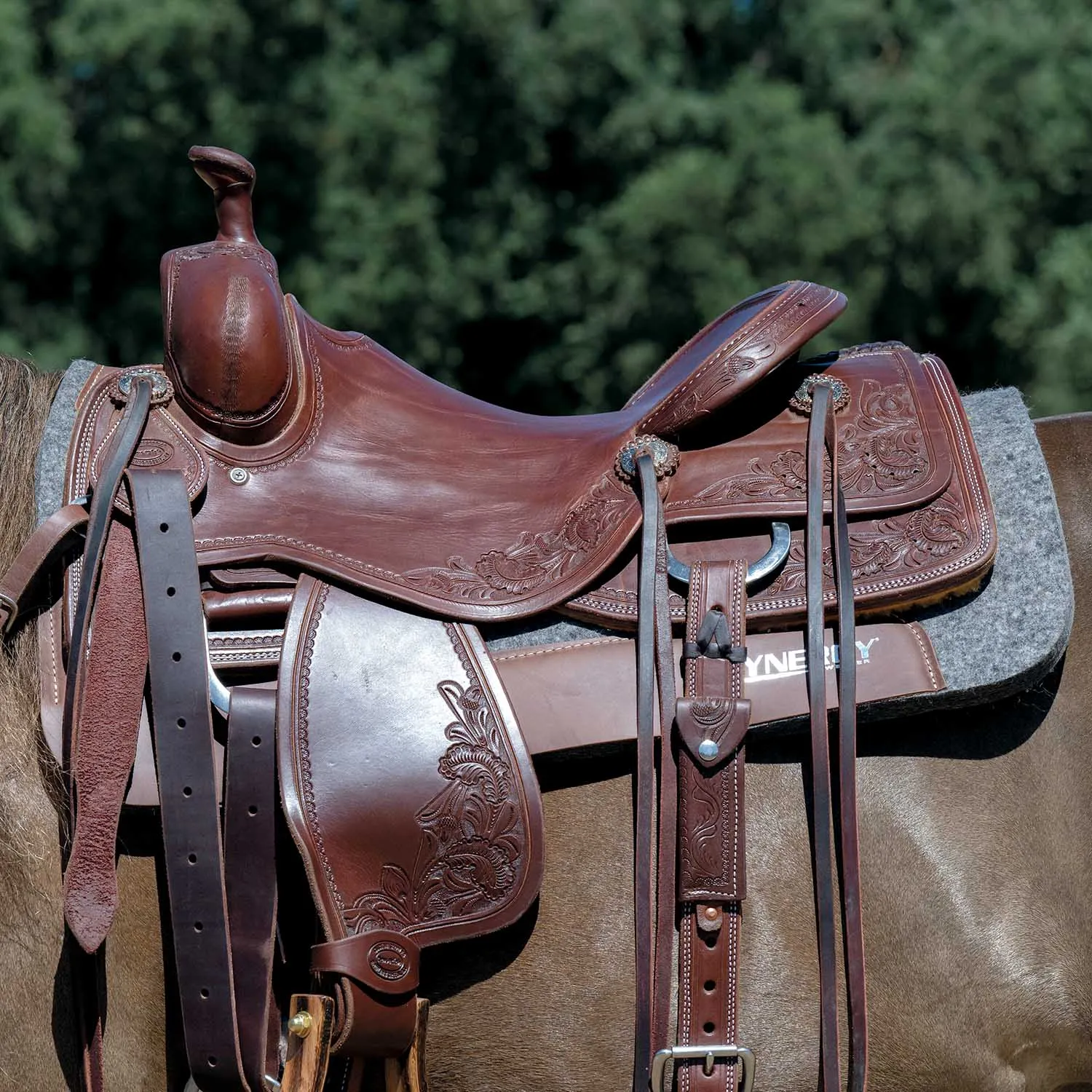 Weaver Synergy Contoured Steam Pressed 100% Merino Wool Felt Performance Saddle Pad