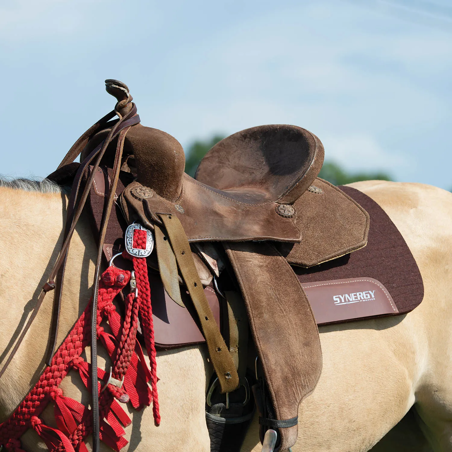 Weaver Synergy Contoured Steam Pressed 100% Merino Wool Felt Performance Saddle Pad