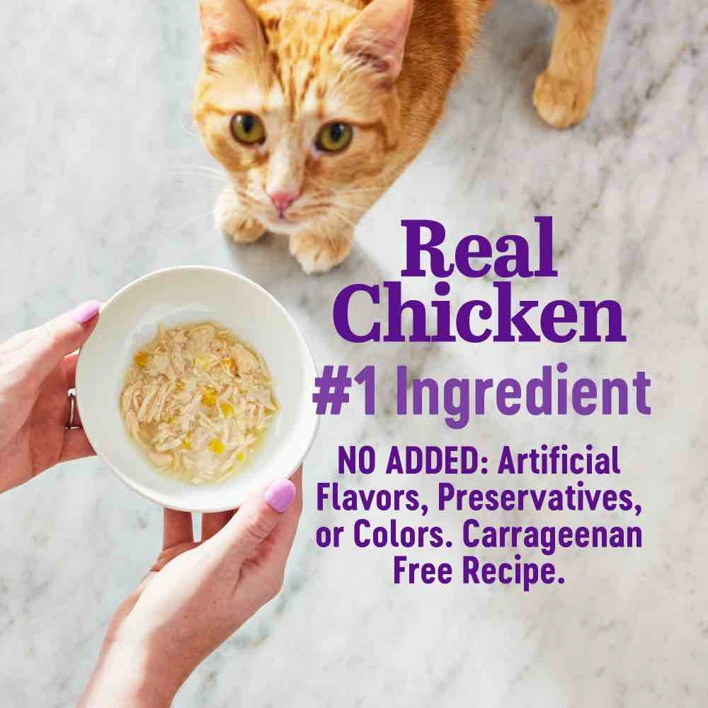 Wellness Appetizing Entrees Mousse Chicken Adult Pouch Cat Food 1.4oz
