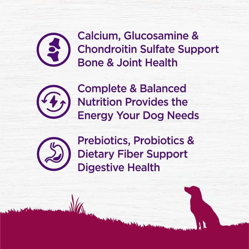 Wellness Complete Health Small Breed Turkey & Peas Senior Dry Dog Food 4lb
