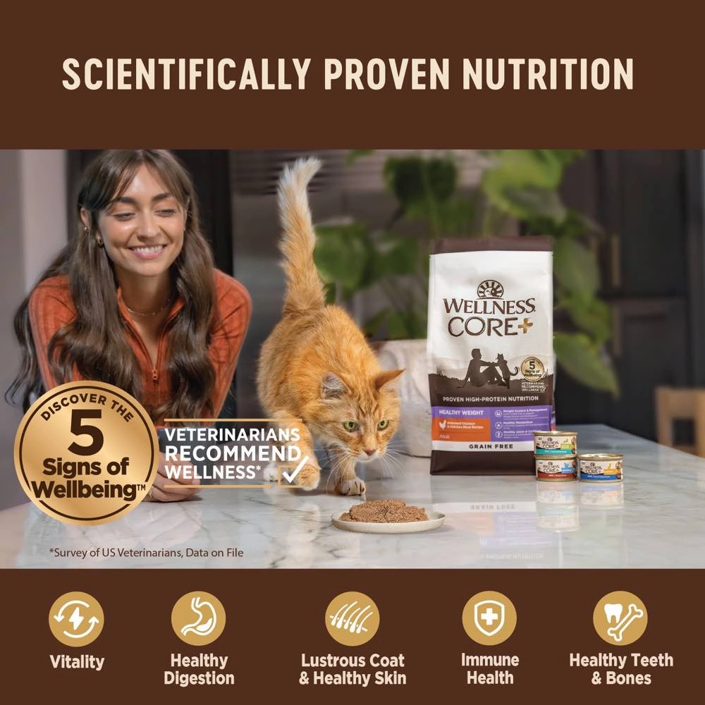 Wellness CORE  Pate Indoor Chicken & Chicken Liver Grain-Free Canned Cat Food 156g