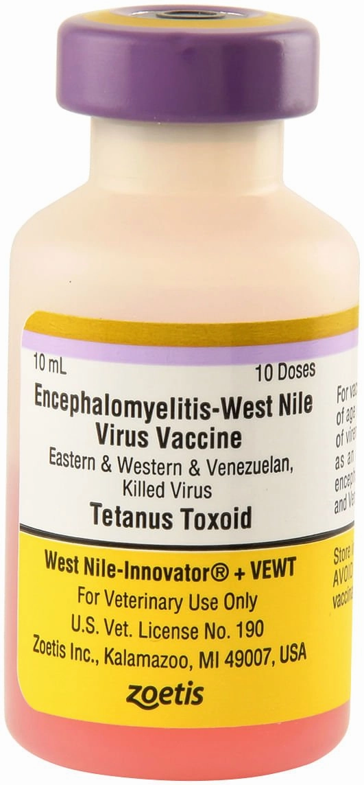 West Nile Innovator   VEWT Horse Vaccine