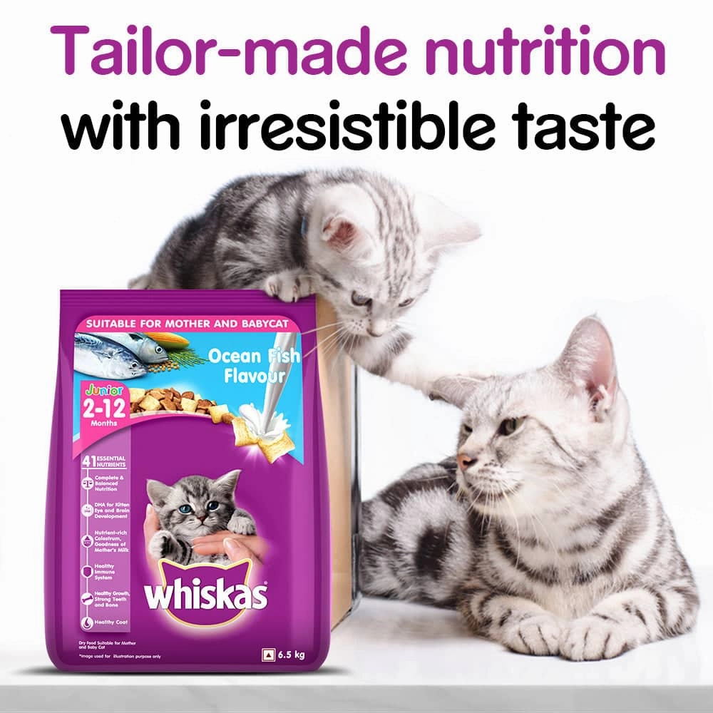 Whiskas Ocean Fish and Tuna in Jelly Kitten Dry and Wet Food Combo