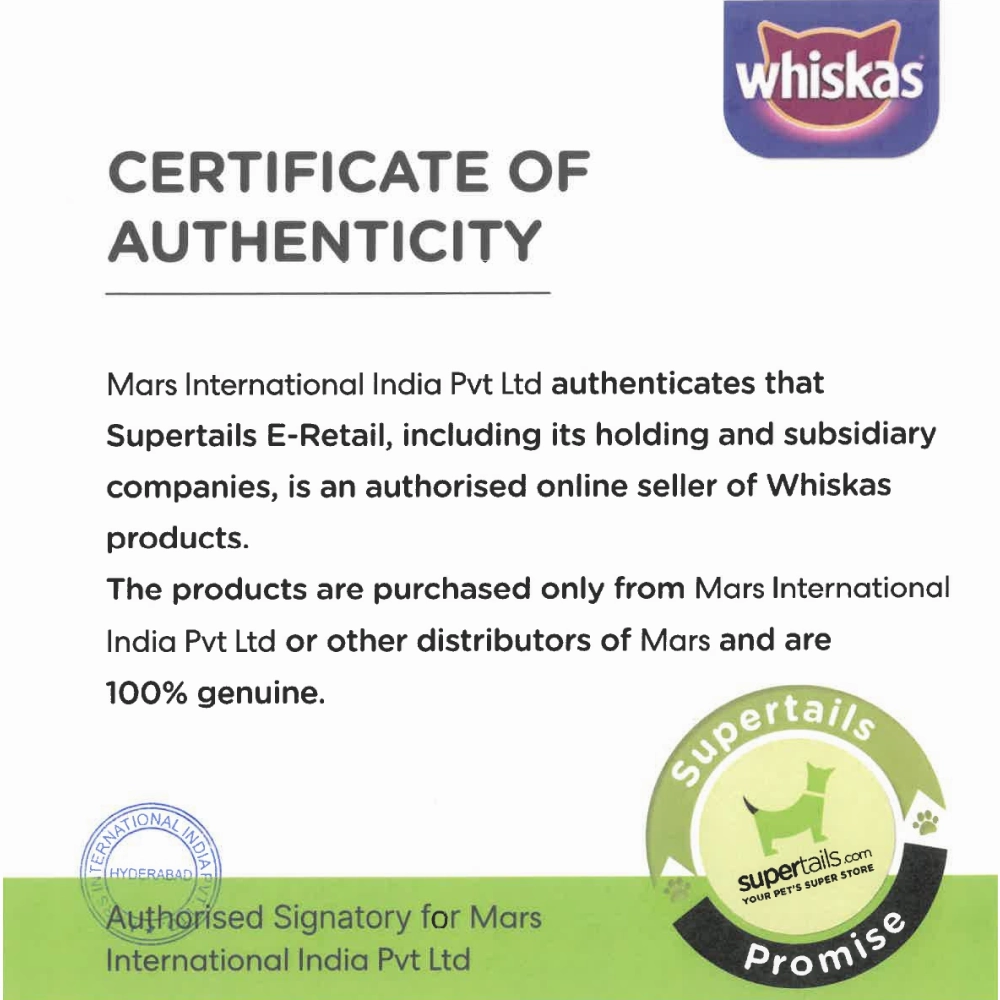 Whiskas Tuna in Jelly Kitten Wet Food and Mackerel Flavour Kitten (2 to 12 months) Dry Food Combo