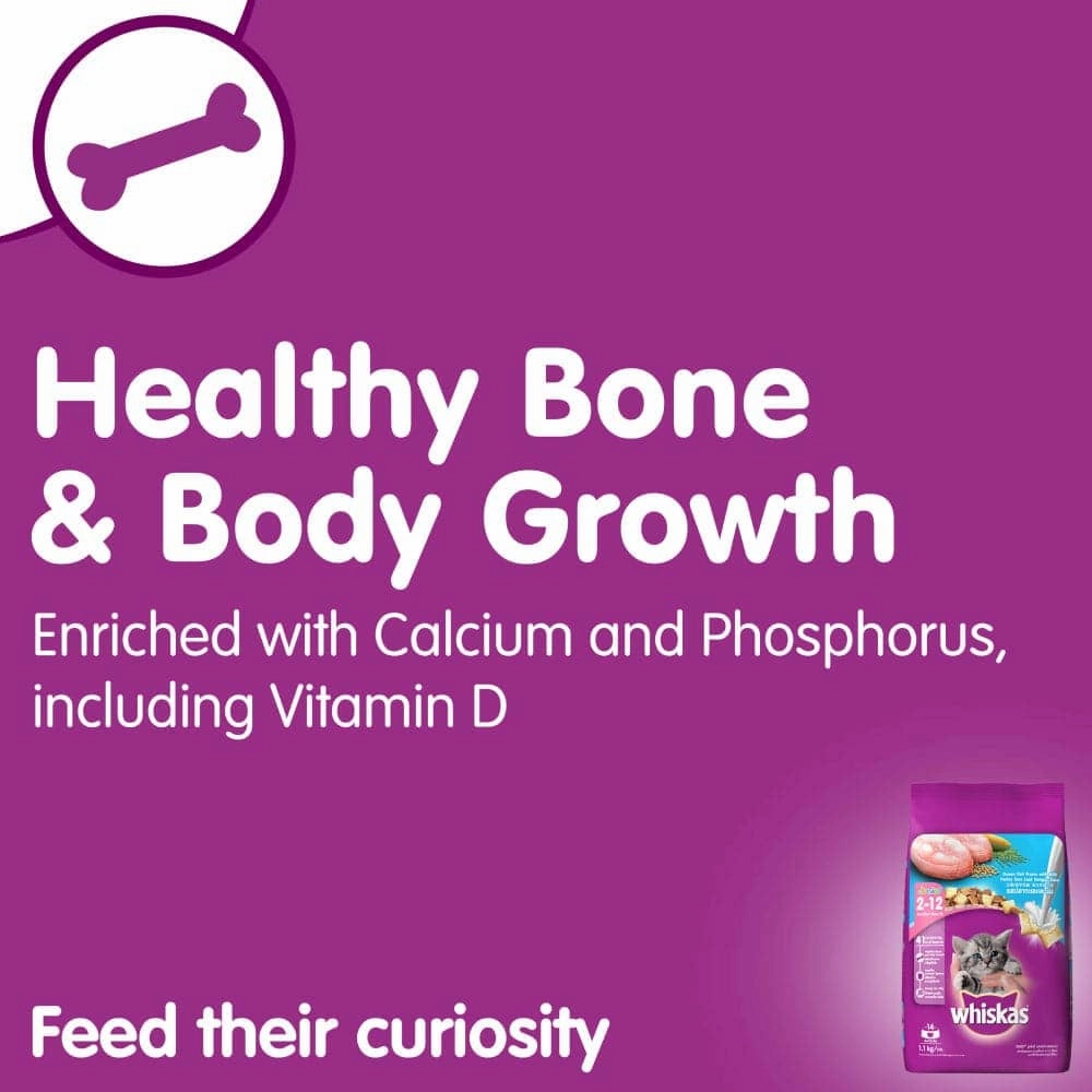 Whiskas Tuna in Jelly Kitten Wet Food and Ocean Fish Kitten Dry Food Combo