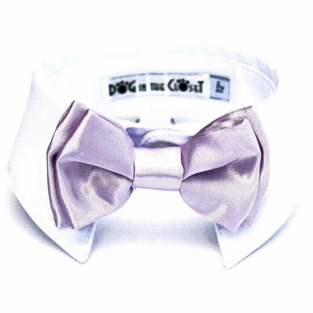 White Shirt Collar With Lilac Dog Bow Tie
