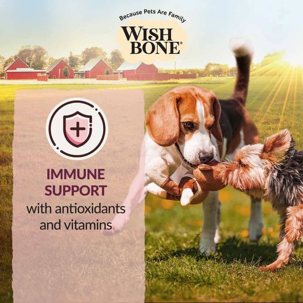 Wishbone Ocean New Zealand King Salmon Grain-Free Dry Dog Food