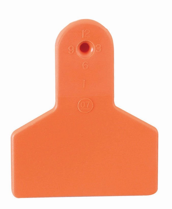 Z1 No-Snag Blank 1-Piece Ear Tags