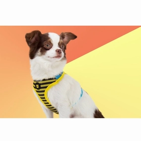 Zee.Dog Buzz Air Mesh Plus Dog Harness puppy food dog jerky treats dog dental treats dog chicken strips organic dog food