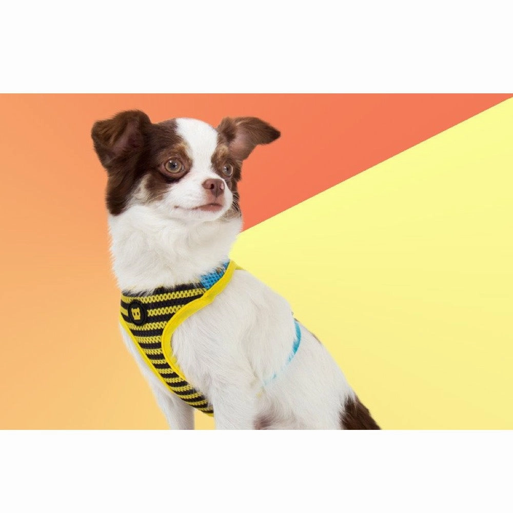 Zee.Dog Buzz Air Mesh Plus Dog Harness puppy food dog jerky treats dog dental treats dog chicken strips organic dog food