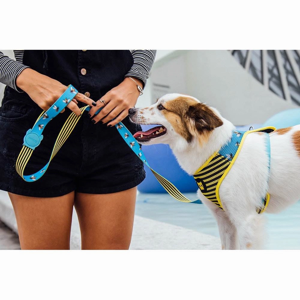 Zee.Dog Buzz Dog Leash