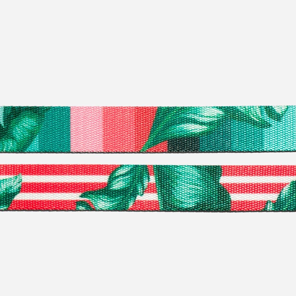 Zee.Dog Dog Leash (Bali)