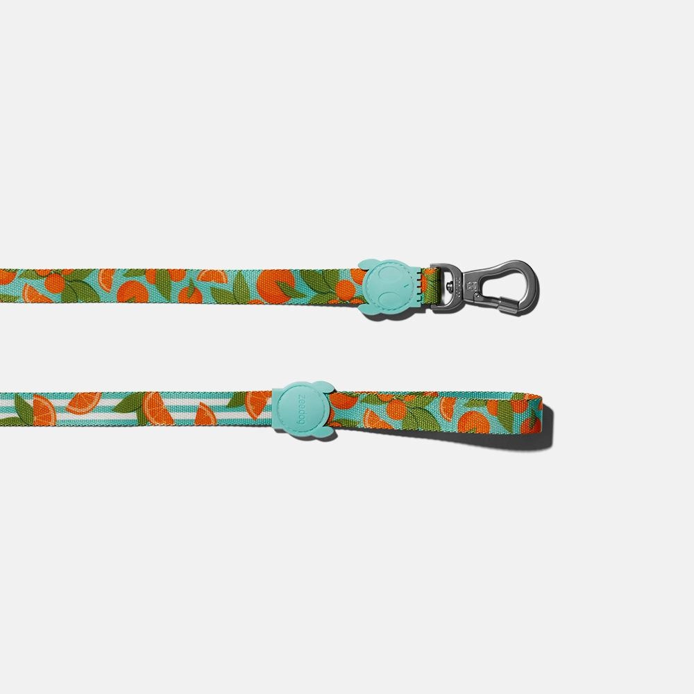 Zee.Dog Dog Leash (Florida)