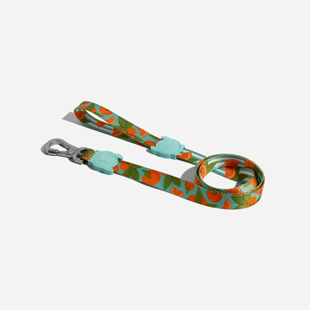 Zee.Dog Dog Leash (Florida)