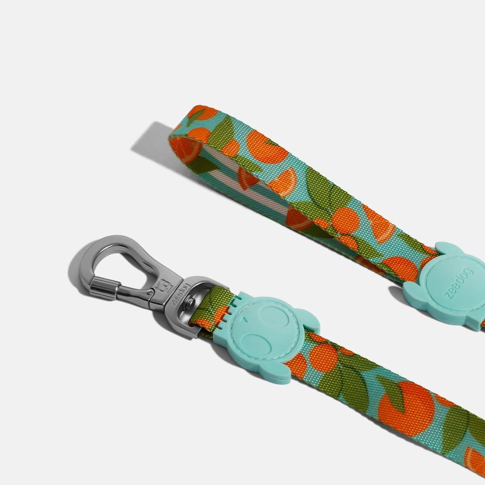 Zee.Dog Dog Leash (Florida)