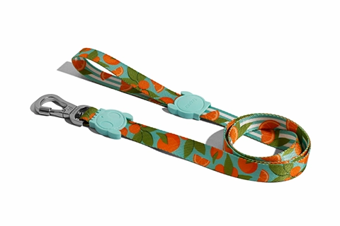 Zee.Dog Dog Leash (Florida) dog carrier dog bag pet backpack dog car seat carrier soft dog crate