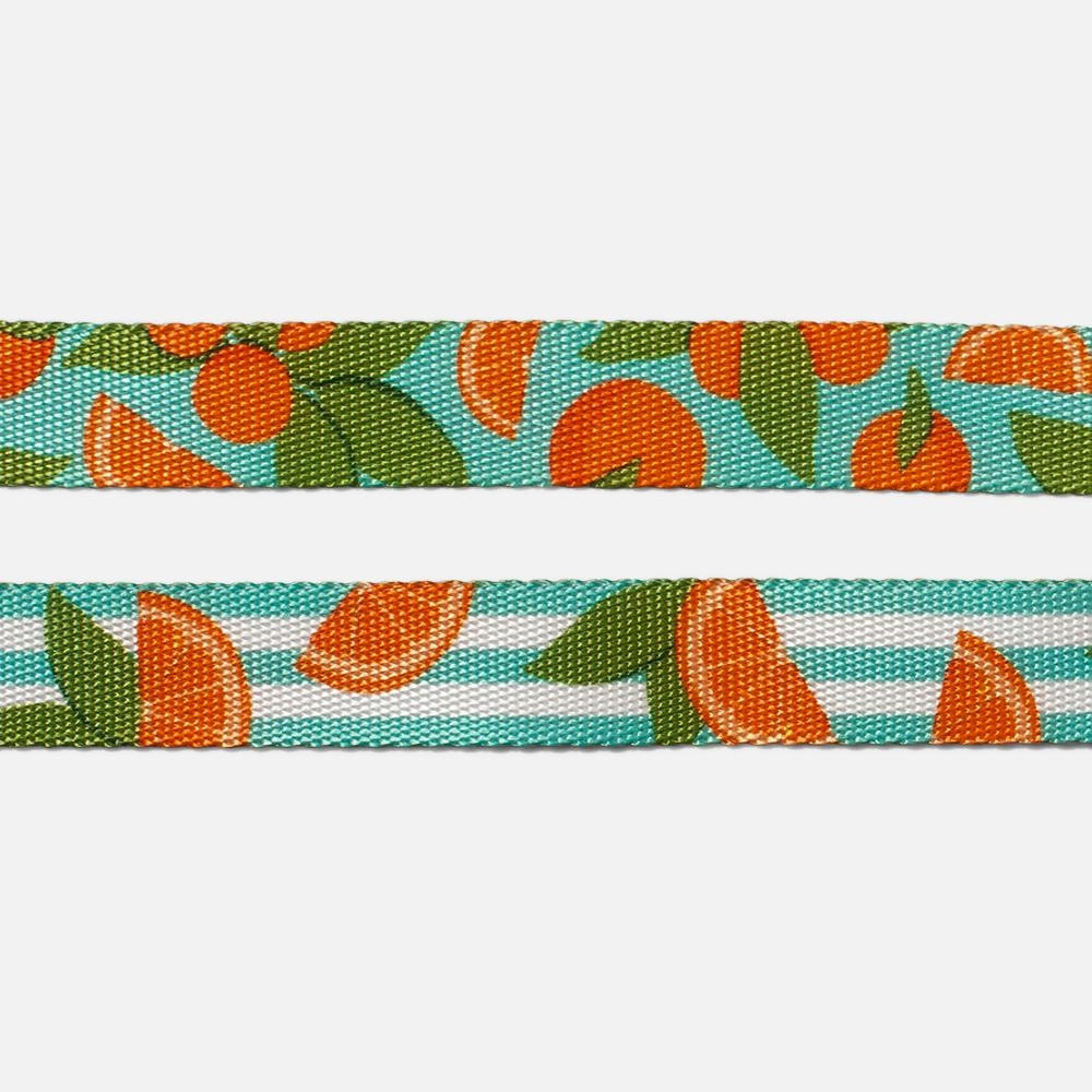 Zee.Dog Dog Leash (Florida)