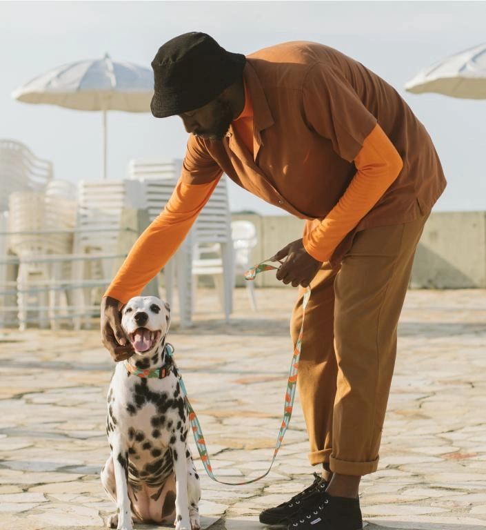 Zee.Dog Dog Leash (Florida)