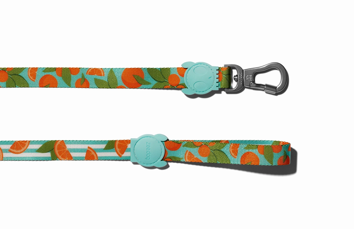 Zee.Dog Dog Leash (Florida)