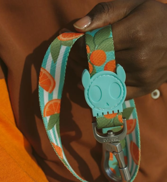 Zee.Dog Dog Leash (Florida)