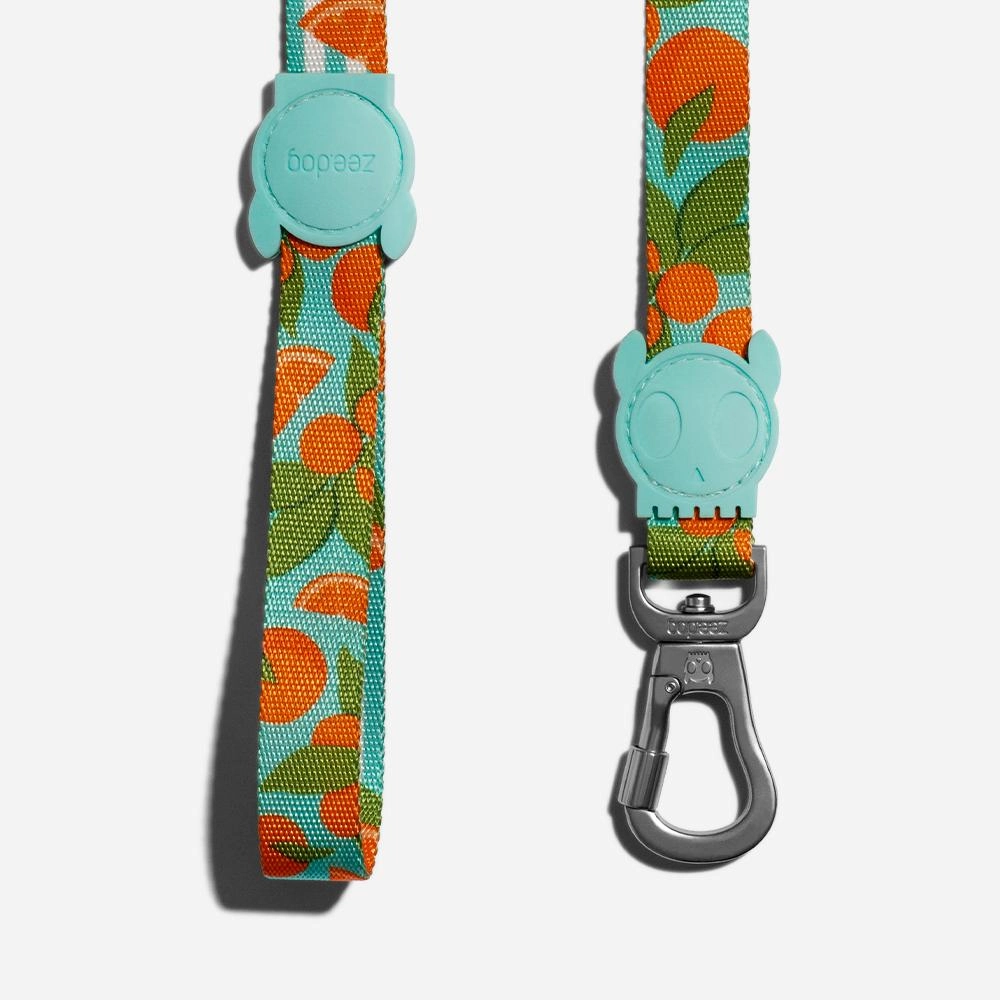 Zee.Dog Dog Leash (Florida)