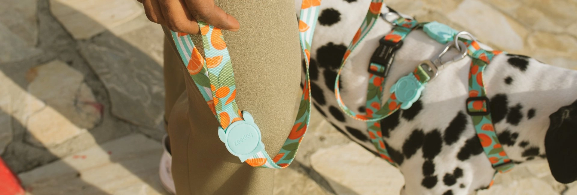 Zee.Dog Dog Leash (Florida)