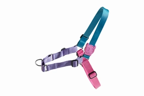 Zee.Dog Soft-Walk Dog Harness (Aurora) dog bandana dog scarf dog necklace dog shoes dog socks