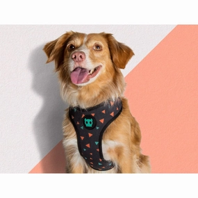 Zee.Dog Triangles Air Mesh Plus Dog Harness dog treats for training freeze dried dog treats soft dog treats dog snacks dog meal topper