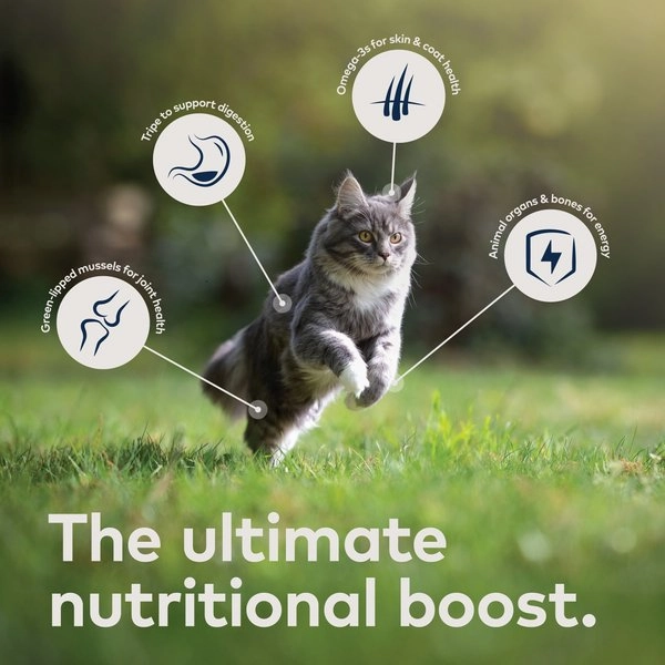 ZIWI Peak Grain Free Rabbit & Lamb Recipe Canned Cat Food